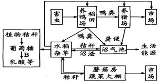 4.小球藻是常用來進(jìn)行毒性測試的模式生物,納米銀由于抗菌性能良好而被廣泛應(yīng)用于紡織品.食物容器.醫(yī)藥及個(gè)人護(hù)理品等商品中.但其釋放到水環(huán)境中的風(fēng)險(xiǎn)也引起了科學(xué)界的重視